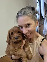 Selah Doodles Miles Davis, a male Australian Labradoodle for sale in Virginia Beach, VA – 5 of 9
