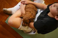Selah Doodles Miles Davis, a male Australian Labradoodle for sale in Virginia Beach, VA – 8 of 9