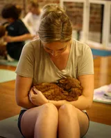 Selah Doodles Miles Davis, a male Australian Labradoodle for sale in Virginia Beach, VA – 3 of 9
