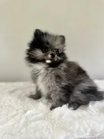 processed/64a2cb11-177e-467f-96c6-cb440a287681/facility/04573112-17fd-4753-9df5-01cff6b7b01a