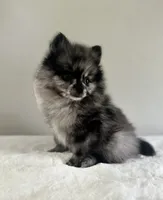 processed/64a2cb11-177e-467f-96c6-cb440a287681/facility/61430464-ed78-4a92-bca7-2630c4f8fb34