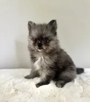 processed/64a2cb11-177e-467f-96c6-cb440a287681/facility/67a9b455-14b5-4d3e-95aa-a099a522a868