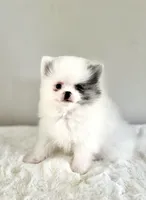 processed/64a2cb11-177e-467f-96c6-cb440a287681/facility/68811f31-45c4-478d-8879-b3cf3e86ac54