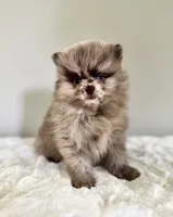 processed/64a2cb11-177e-467f-96c6-cb440a287681/facility/7322f193-ece5-4578-a1f3-9f903a42410c