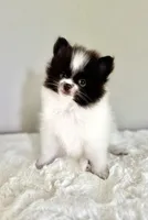 processed/64a2cb11-177e-467f-96c6-cb440a287681/facility/cf364531-4b8f-4bdf-8d8b-29903c74d248