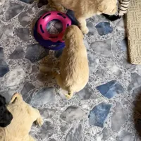 processed/64a3e7ef-7922-452d-988c-300c7f1b1aac/facility/209f8769-d903-4452-92a5-698e1116329a