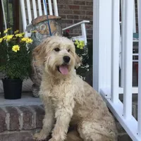 processed/64a3e7ef-7922-452d-988c-300c7f1b1aac/facility/3ef1fab3-9b59-413f-93da-aebfa39a83be