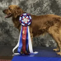 processed/64a3e7ef-7922-452d-988c-300c7f1b1aac/facility/4427b084-ecfb-4c3f-bc96-ceaa347102c4