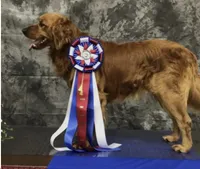 processed/64a3e7ef-7922-452d-988c-300c7f1b1aac/facility/4427b084-ecfb-4c3f-bc96-ceaa347102c4