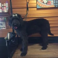 processed/64a3e7ef-7922-452d-988c-300c7f1b1aac/facility/7f782bd0-96c0-46c9-a13a-7c17c61a4885