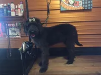 processed/64a3e7ef-7922-452d-988c-300c7f1b1aac/facility/7f782bd0-96c0-46c9-a13a-7c17c61a4885