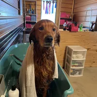 processed/64a3e7ef-7922-452d-988c-300c7f1b1aac/facility/8e8a4527-5067-498d-a28e-2fba30b101ec