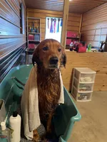 processed/64a3e7ef-7922-452d-988c-300c7f1b1aac/facility/8e8a4527-5067-498d-a28e-2fba30b101ec