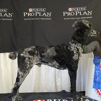 processed/64a3e7ef-7922-452d-988c-300c7f1b1aac/facility/f605d189-23c7-472e-92a1-ea9e34e0877b