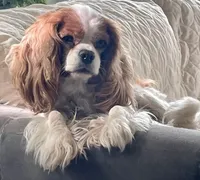 processed/64a45749-d711-4ba3-8606-8a7920f00ed1/facility/db48c6d0-3260-4538-80f6-415222727478