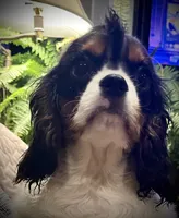 processed/64a45749-d711-4ba3-8606-8a7920f00ed1/listing/a902c2af-4991-4ec9-8549-49dd1536ee8b/9249a2b2-7b8d-469c-8be3-4158b1f31b1d