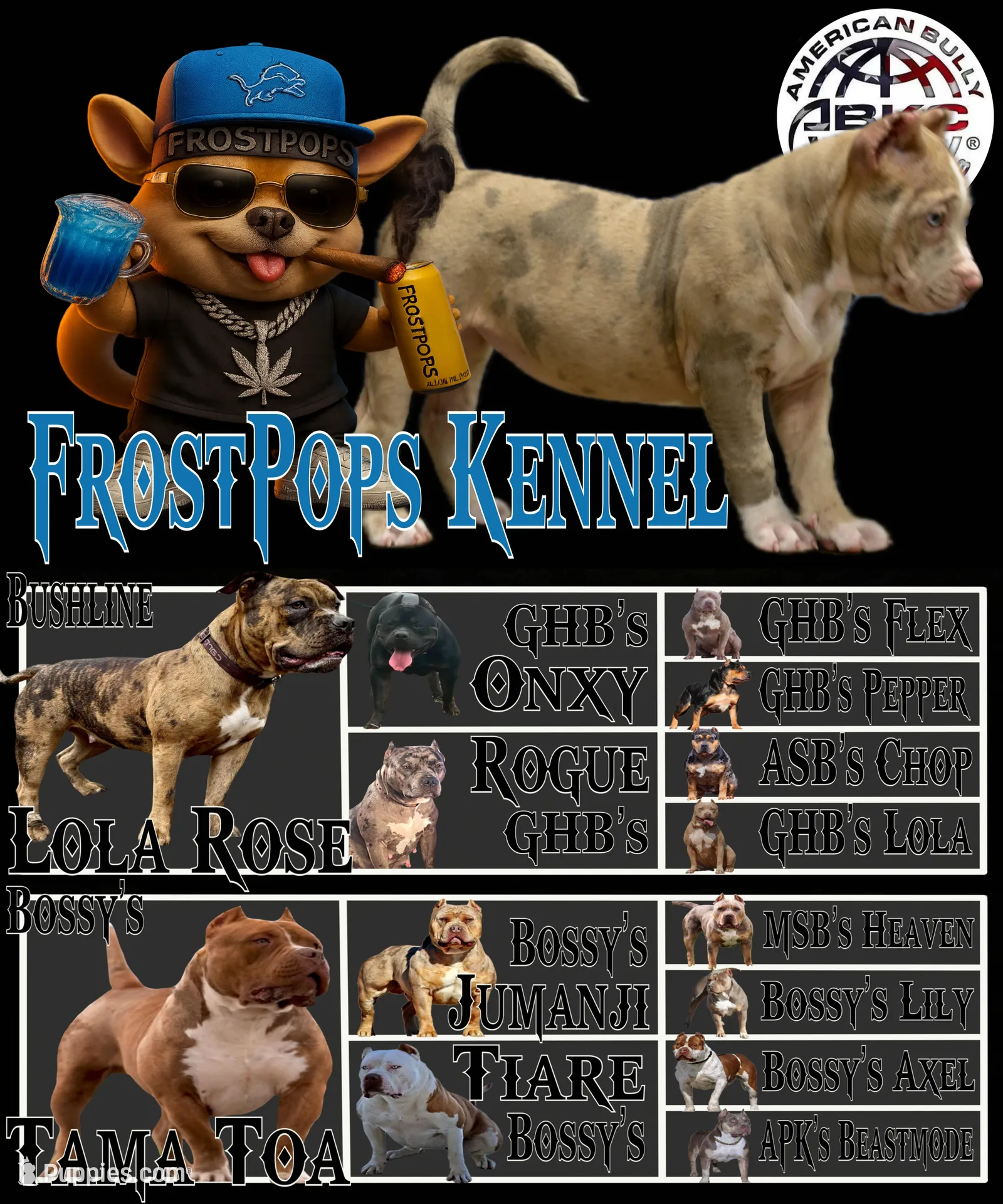 Nala  – American Bully puppy for sale in Holland, MI