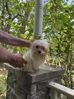 processed/64a6046e-037d-4585-9cb8-df1b0a86148f/facility/7641ee8e-11df-4f1e-a8c9-b56696f76570