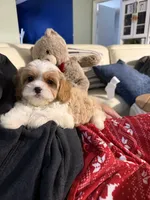 processed/64ab4100-e81d-42cb-8ad7-842a01c9ba3e/listing/adca9113-3d46-4f0e-af32-081c74341f1f/302742fb-42ee-4a40-bfca-3a341629142c