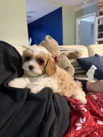 processed/64ab4100-e81d-42cb-8ad7-842a01c9ba3e/listing/adca9113-3d46-4f0e-af32-081c74341f1f/72a4aa72-d1c7-4672-95fc-e0fd2fffcb22