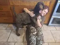 processed/64b09e82-bfa5-40ec-97e9-247b7f0363d3/facility/2f5002c4-4946-4c63-bc1d-f79451aca907