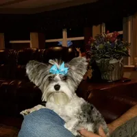 processed/64b09e82-bfa5-40ec-97e9-247b7f0363d3/facility/cd30846a-0dc2-45b2-bae8-ec605b21b55f