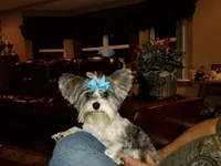 processed/64b09e82-bfa5-40ec-97e9-247b7f0363d3/facility/cd30846a-0dc2-45b2-bae8-ec605b21b55f