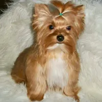 processed/64b09e82-bfa5-40ec-97e9-247b7f0363d3/facility/f24ee6a6-4a58-4430-bda4-74cb1e7340c8