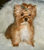 processed/64b09e82-bfa5-40ec-97e9-247b7f0363d3/facility/f24ee6a6-4a58-4430-bda4-74cb1e7340c8