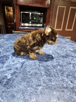 processed/64b09e82-bfa5-40ec-97e9-247b7f0363d3/listing/57ffd61e-f506-4a4b-b756-46edc1a7e057/325cf212-fde2-43de-b3d3-91826d5e5d01