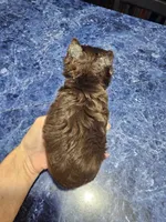 processed/64b09e82-bfa5-40ec-97e9-247b7f0363d3/listing/57ffd61e-f506-4a4b-b756-46edc1a7e057/acf7dd61-366b-46dc-bf02-761967dcb79b