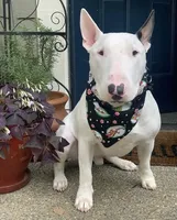 processed/64b16134-5781-450f-bed8-25fc88e49229/facility/23132e52-c492-4f43-a676-eed197cf3d8a