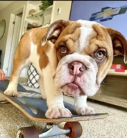 processed/64b16134-5781-450f-bed8-25fc88e49229/facility/6b77a0ec-0545-4c94-9d6f-4a041156a5d6