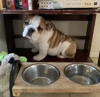 processed/64b16134-5781-450f-bed8-25fc88e49229/facility/929fb53e-a235-4fe5-96e5-7e6dd28e1300