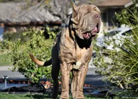 processed/64b16134-5781-450f-bed8-25fc88e49229/facility/949618b0-f632-42fb-afec-608ff5ef4aa8