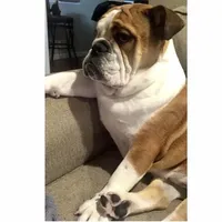 processed/64b16134-5781-450f-bed8-25fc88e49229/facility/aa44ad00-a97c-431f-8c3a-038f40d2e431