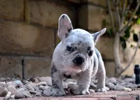 processed/64b16134-5781-450f-bed8-25fc88e49229/facility/f6efa233-592e-49e2-91b4-4441af771a4d