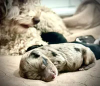 processed/64c3ef03-e555-4c39-a0b6-5136374908e1/listing/77965cef-07b8-49a5-9f1b-5220e3c69637/0d83cb00-5e12-48b2-818a-b543270a1a24