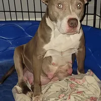 processed/64c5bb8c-fa29-4e4c-8942-721e383ccc46/facility/46cc21b0-a970-4276-9f02-5530ecf129ce