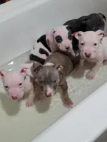 processed/64c5bb8c-fa29-4e4c-8942-721e383ccc46/facility/77f8c9fe-070d-4649-bb27-2097a5a0d0d6