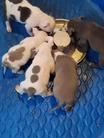 processed/64c5bb8c-fa29-4e4c-8942-721e383ccc46/facility/a8659f74-0531-4a0c-8927-4ae73f805c5f