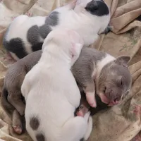 processed/64c5bb8c-fa29-4e4c-8942-721e383ccc46/facility/b1a39bf8-83db-4ada-886c-e95bd1ed586e