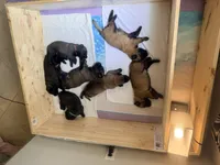 Facility photo