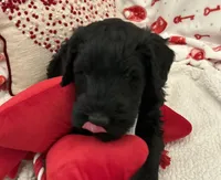 processed/64d938d8-bc0d-4e37-a60c-f10150c2a3f6/listing/2d42e5ec-485b-41e3-9a38-efaa0ff79ca3/1799da60-9985-47f9-83b9-20a8b23534a3