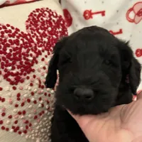 processed/64d938d8-bc0d-4e37-a60c-f10150c2a3f6/listing/2d42e5ec-485b-41e3-9a38-efaa0ff79ca3/4badf4f0-0209-46ee-b85d-e996d1d5f210