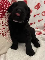 processed/64d938d8-bc0d-4e37-a60c-f10150c2a3f6/listing/2d42e5ec-485b-41e3-9a38-efaa0ff79ca3/51dd2582-7c78-4ce1-af89-ace29b1a48d6