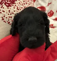 processed/64d938d8-bc0d-4e37-a60c-f10150c2a3f6/listing/2d42e5ec-485b-41e3-9a38-efaa0ff79ca3/664431c3-ab61-4aa6-942d-2f0a75e15c75