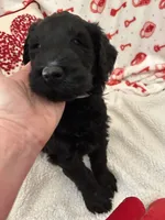 processed/64d938d8-bc0d-4e37-a60c-f10150c2a3f6/listing/2d42e5ec-485b-41e3-9a38-efaa0ff79ca3/964353e2-8426-40aa-9b80-e462ef282e48