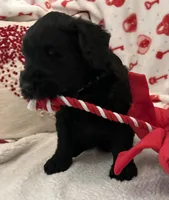 processed/64d938d8-bc0d-4e37-a60c-f10150c2a3f6/listing/2d42e5ec-485b-41e3-9a38-efaa0ff79ca3/e27a6c7d-c6a7-49ac-ad39-3d66e9141066