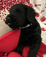 processed/64d938d8-bc0d-4e37-a60c-f10150c2a3f6/listing/2d42e5ec-485b-41e3-9a38-efaa0ff79ca3/f4499957-fb6d-4d15-8048-c1d8334b0196